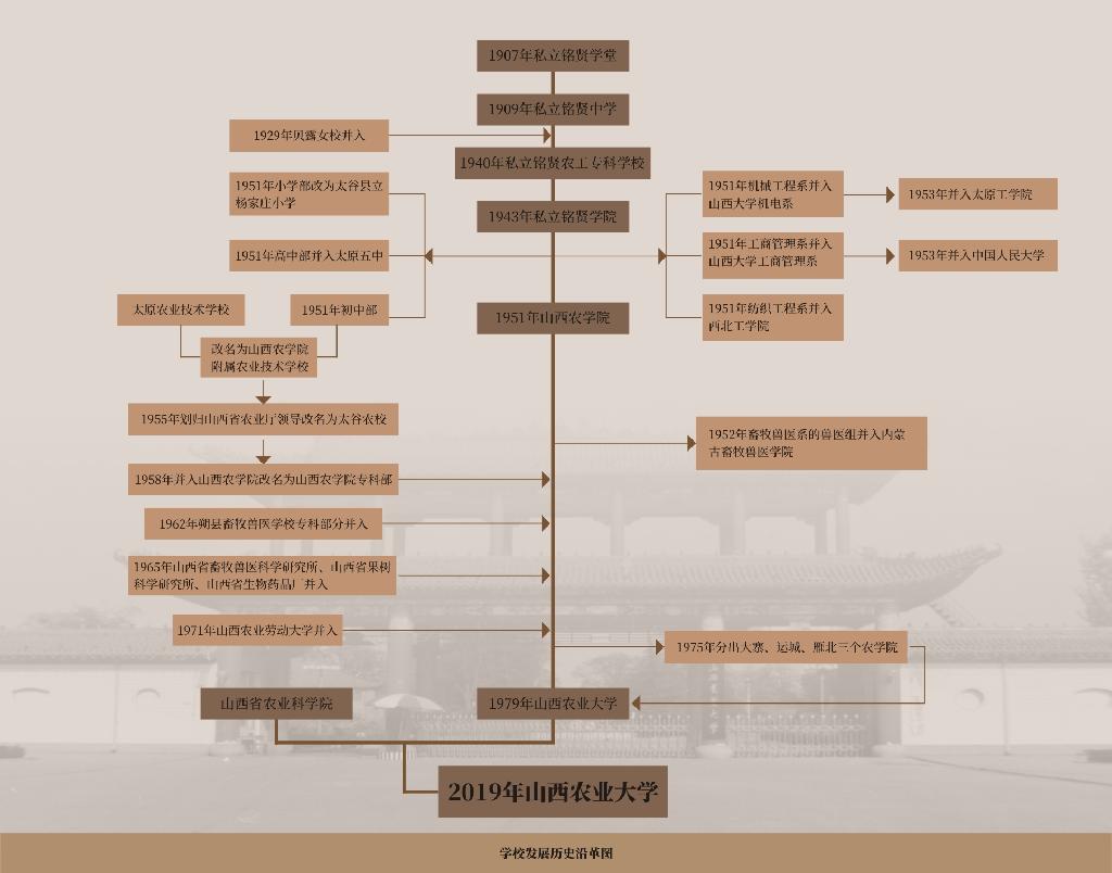 历史沿革